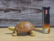 Safari Ltd Loggerhead Musk Turtle