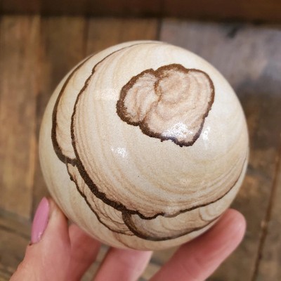Sandstone Biggs Wood Grain Picture Jasper Sphere 498g - Creative Crystal Decor