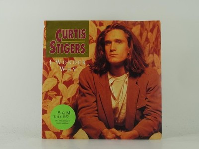 CURTIS STIGERS I WONDER WHY (3) 2 Track 7'' Single including Picture Sleeve BMG/A