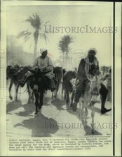 1973 Press Photo Egyptian cattle herders looking for water - now00166