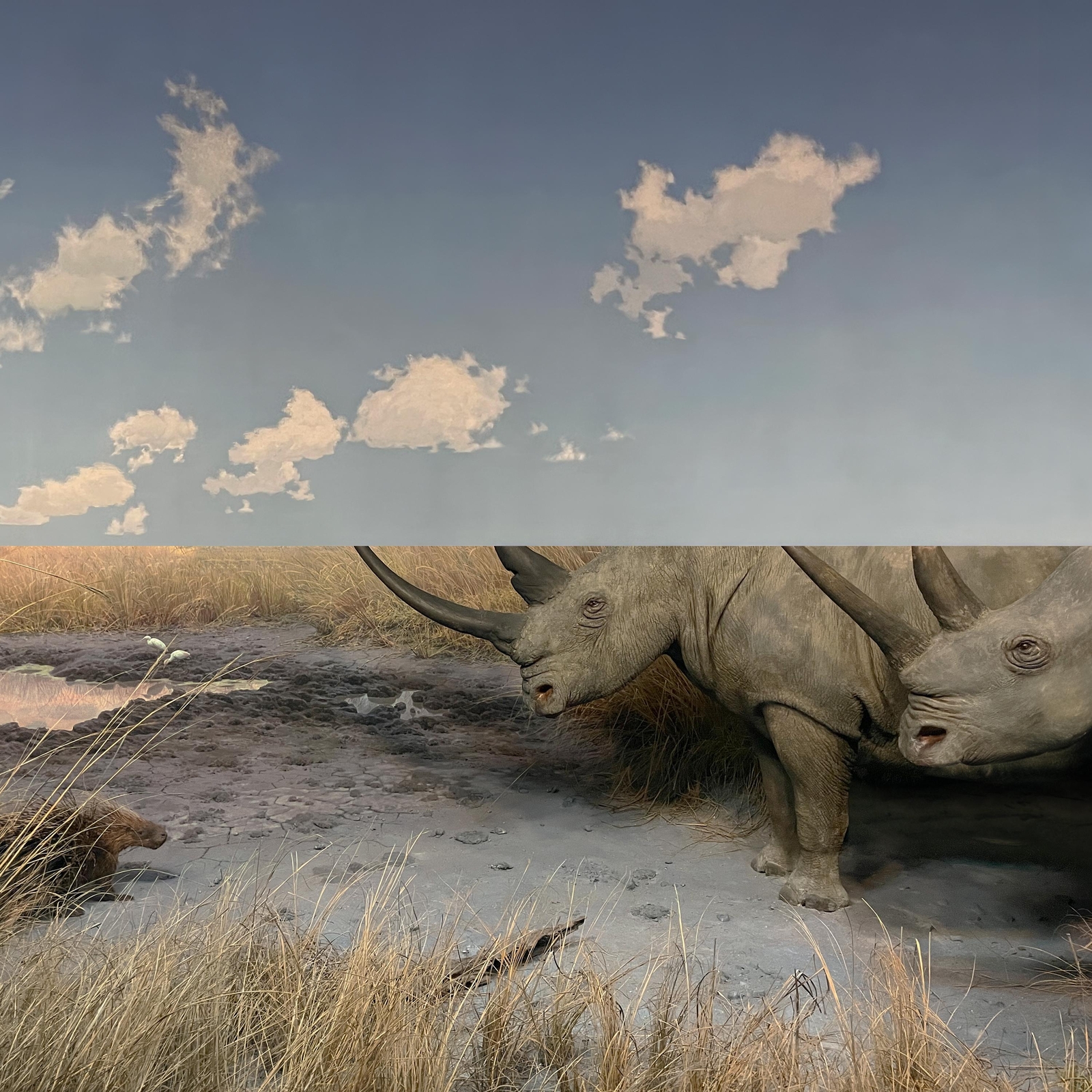 Carpet Collision (CD) Album