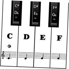 Piano Keyboard Stickers for Beginners, Reusable Protective Sticker-Black