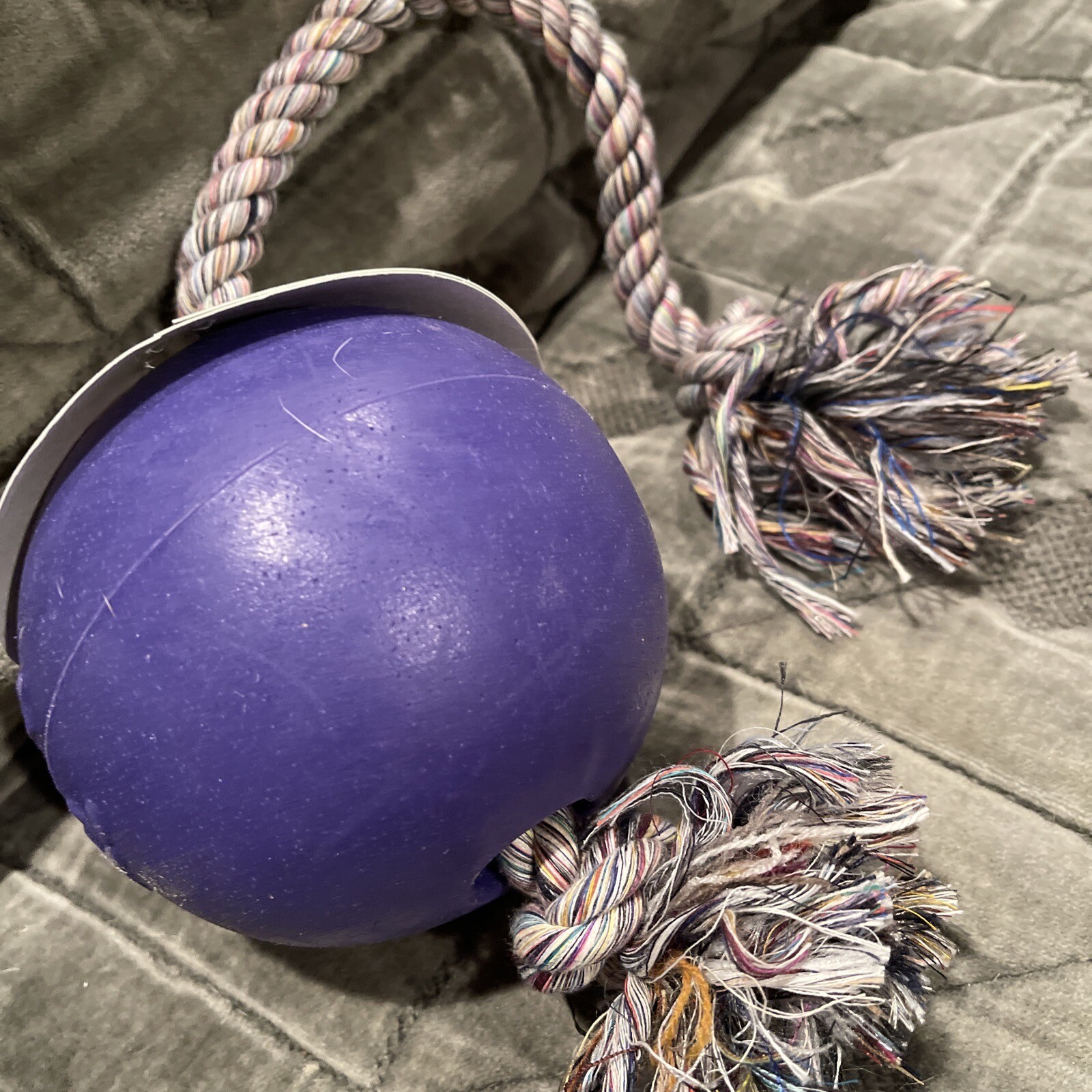 Jolly Pets RompnRoll 4.5 inch Purple Rubber Ball with Rope for Dogs eBay