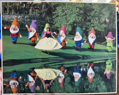 Walt Disney Photo Prints #3507 Snow White & The Seven Dwarfs  (1982) 8 x10 