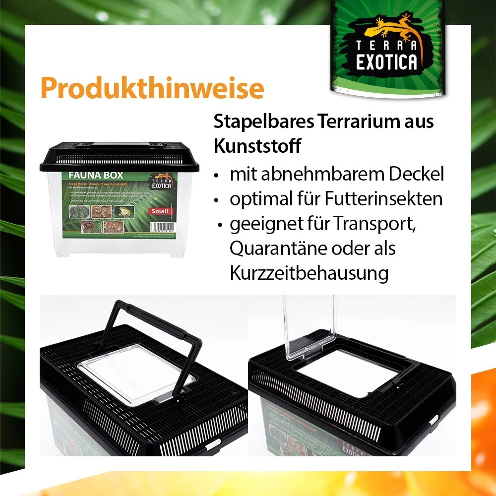 Bild 5 von 6