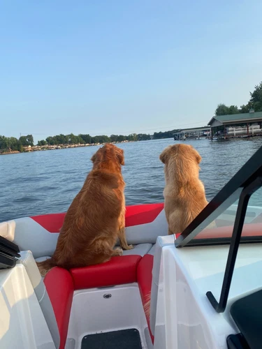 boats for sale used