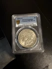 1880 CC Morgan Silver Dollar PCGS UNC Detail Genuine Cleaned