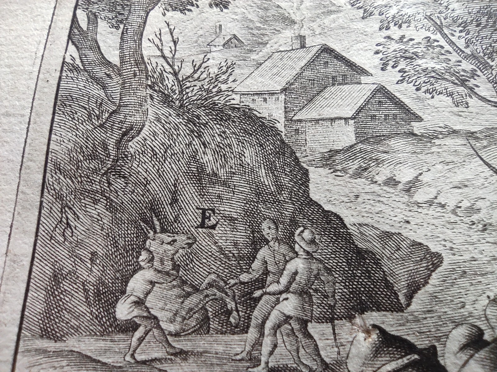 Picture 8 of 10