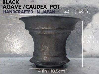 Japanische handgefertigte schwarze Keramik Bonsai Topf Agave Caudex Kaktus Üb...