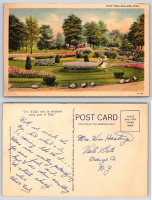 Tulip Time Holland Michigan Garden View Flowers Postcard AL910