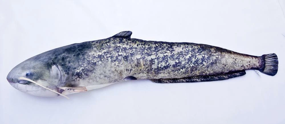 Giant catfish best sale pillow