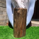 20.7LB Natural wood fossil quartz crystal mineral specimens healing — photo 6