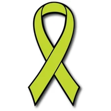 Lime Lymphoma Cancer Awareness Ribbon Car Magnet Decal Heavy Duty 3.5" x 7"