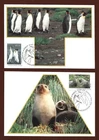 1993 AAT " ANTARCTIC WILDLIFE 11  " ~ SET OF 3 MAXI CARDS ~