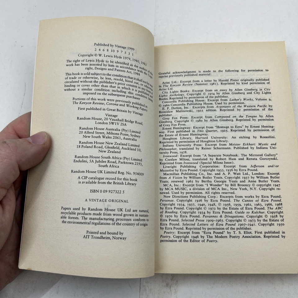 The Gift: Imagination and the Erotic Life of Property By Lewis  paperback 1999 Foto 2 de 4