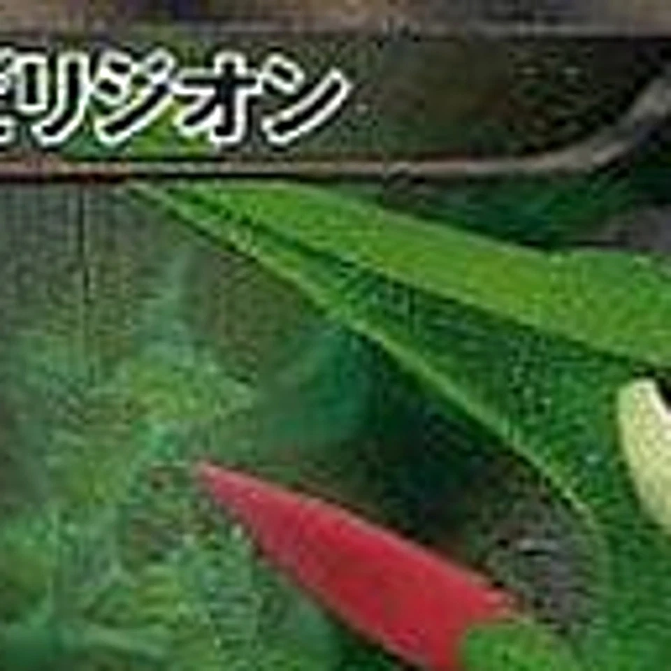 Pokemon Virizion Holo SR 067/066 BW2 Red Collection Japanese Card - Image 3 of 4