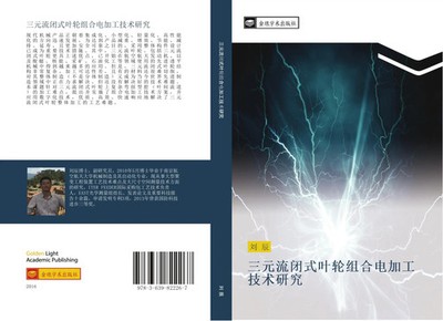Chen Liu | san yuan liu bi shi ye lun zu he dian jia gong ji shu yan jiu | Buch