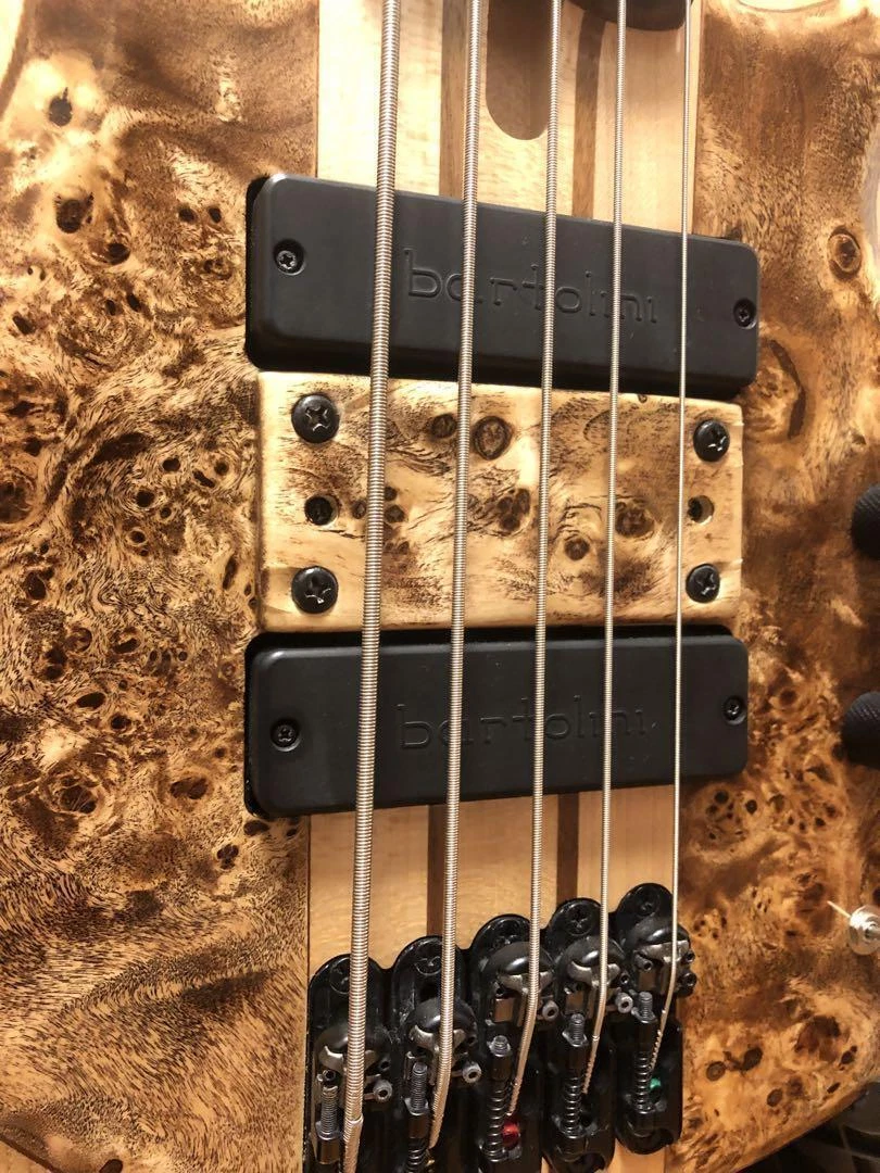 Ibanez btb845v top