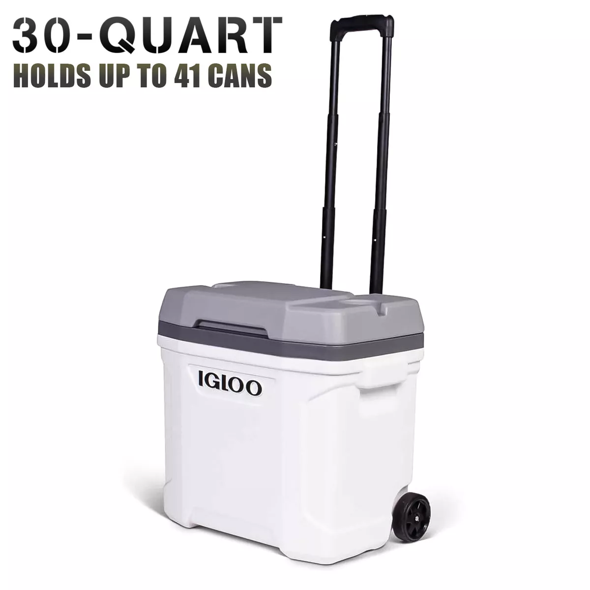 Igloo profile 30 quart roller 2025