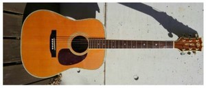 mitchell guitar case