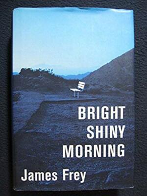 Bright Shiny Morning [Hardcover] [May 13, 2008] Frey, James
