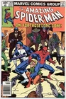 Amazing Spider-Man 202 VF- 1980 Punisher Keith Pollard