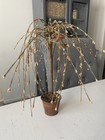 Rustic Farmhouse Gold Star Willow Tree Table Accent Decor — photo 3