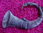 DUG CIVIL WAR INFANTRY HAT HORN INSIGNIA. (PORT HUDSON)
