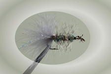 Pistol Pete Hi-Country Fishing Flies, Size 6, Rainbow