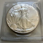 2013 madelf1963 American Eagle Silver, brilliant uncirculated