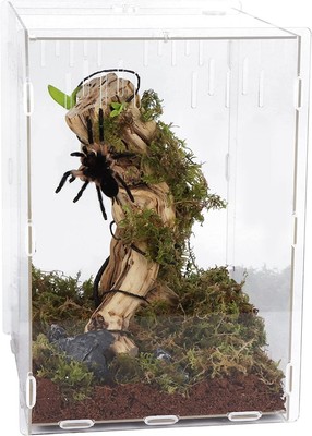 Reptile Terrarium Tank Tarantula Enclosure Insect Habitat Lizard Hermit Insect