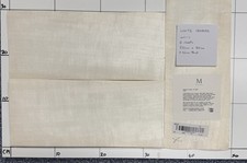 White Real Wood Veneer 4 Sheets 330mm x 140mm WV1-1 Marquetry Crafts