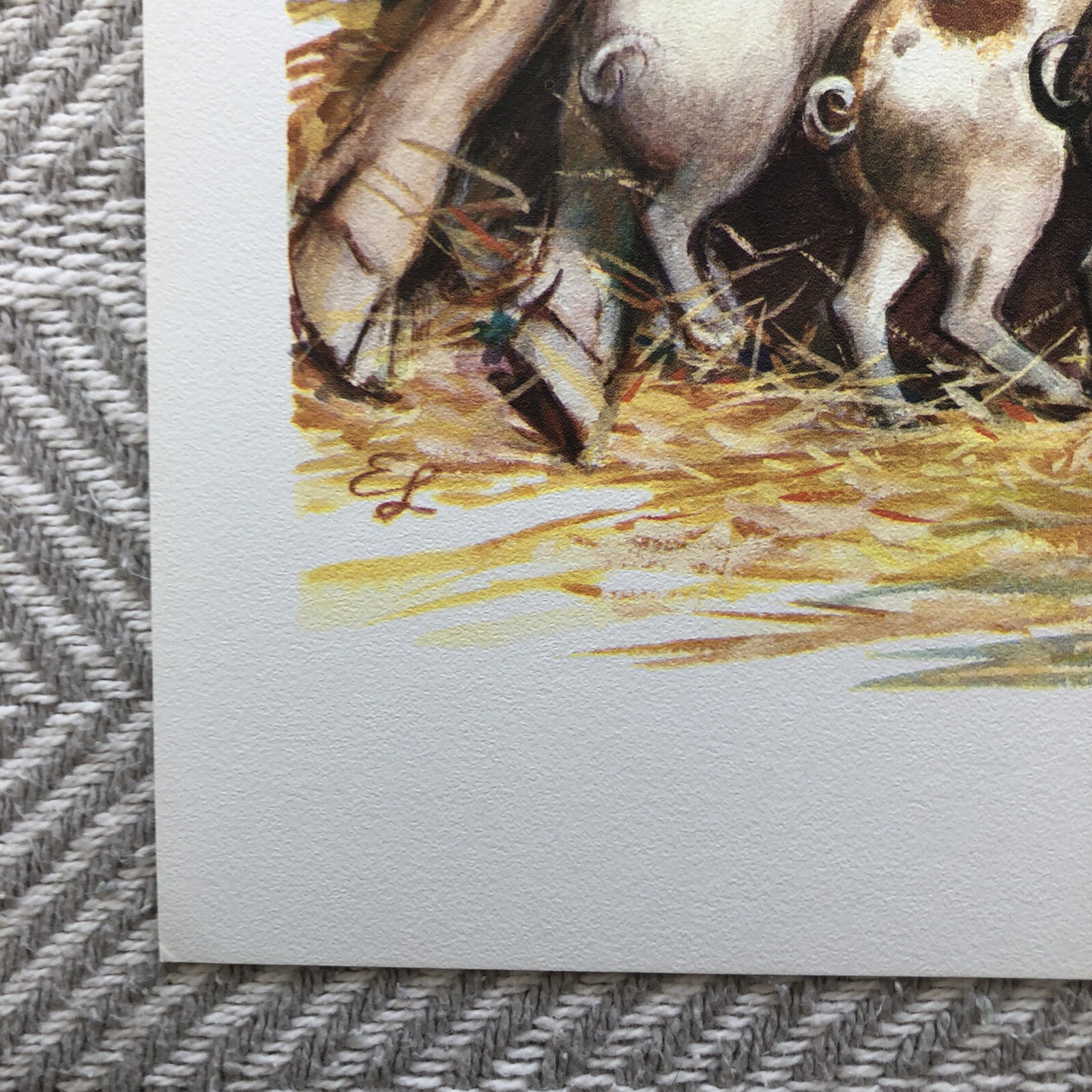 Picture 3 of 10
