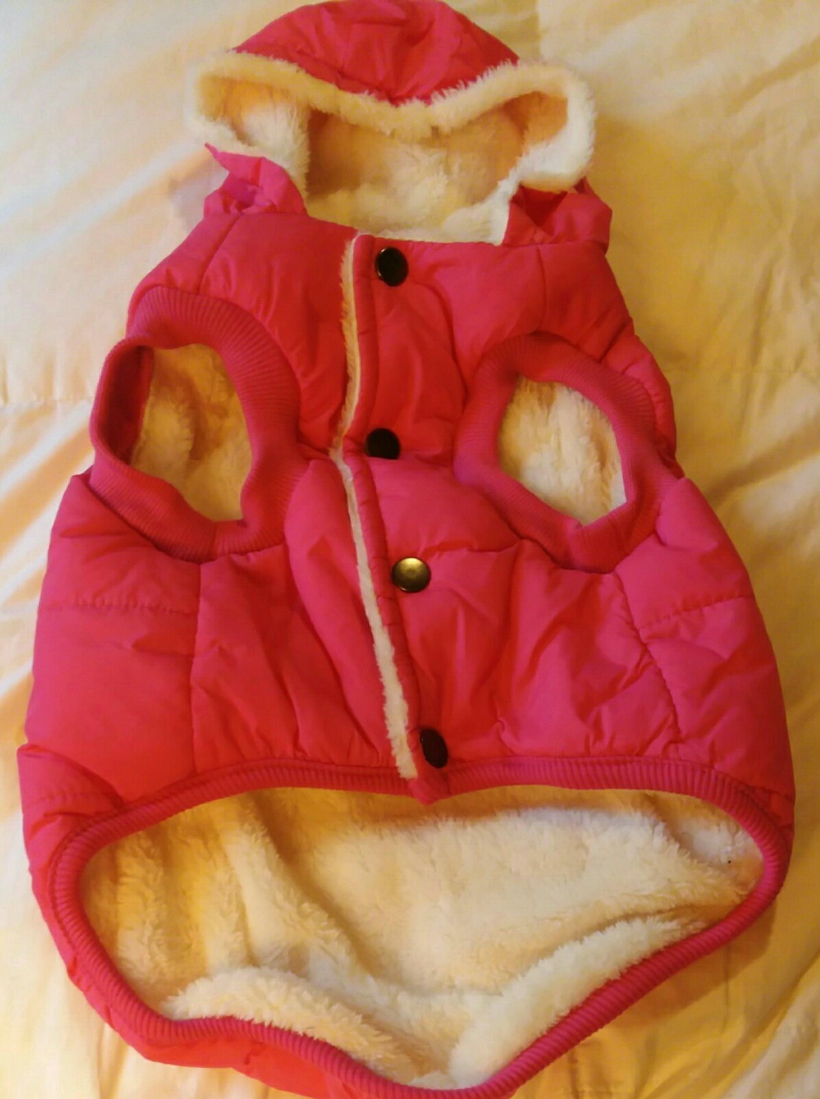 Hot pink Dog Coat W/ Hood Faux Fur inside Small eBay