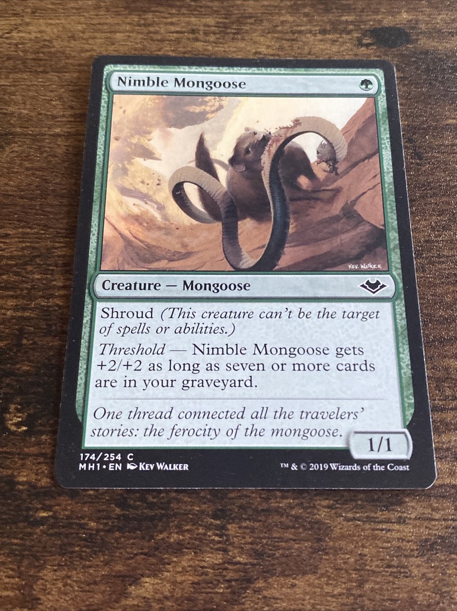 敏捷なマングース Nimble Mon 英語 foil 4枚 MTG Nimble Mongoose 174/254 Modern Horizons Magic The Gathering MTG