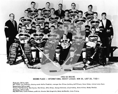 INTERNATIONAL HOCKEY LEAGUE TEAM PHOTOS ( YOU PICK FROM LIST) REPRINT - Picture 19 of 145