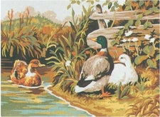 "Ducks"  Printed Needlepoint Tapestry  Canvas 6029
