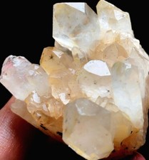 81g Natural Hollandite Star Quartz CRYSTAL Point&Trapiche Hair&babysbreath o539