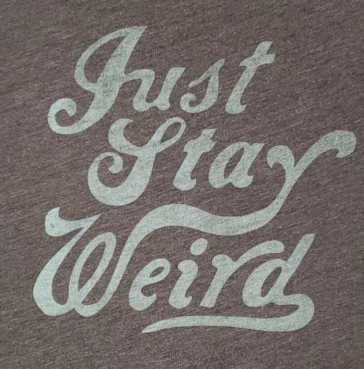 Hollister by Abercrombie Fitch Womens T Shirt