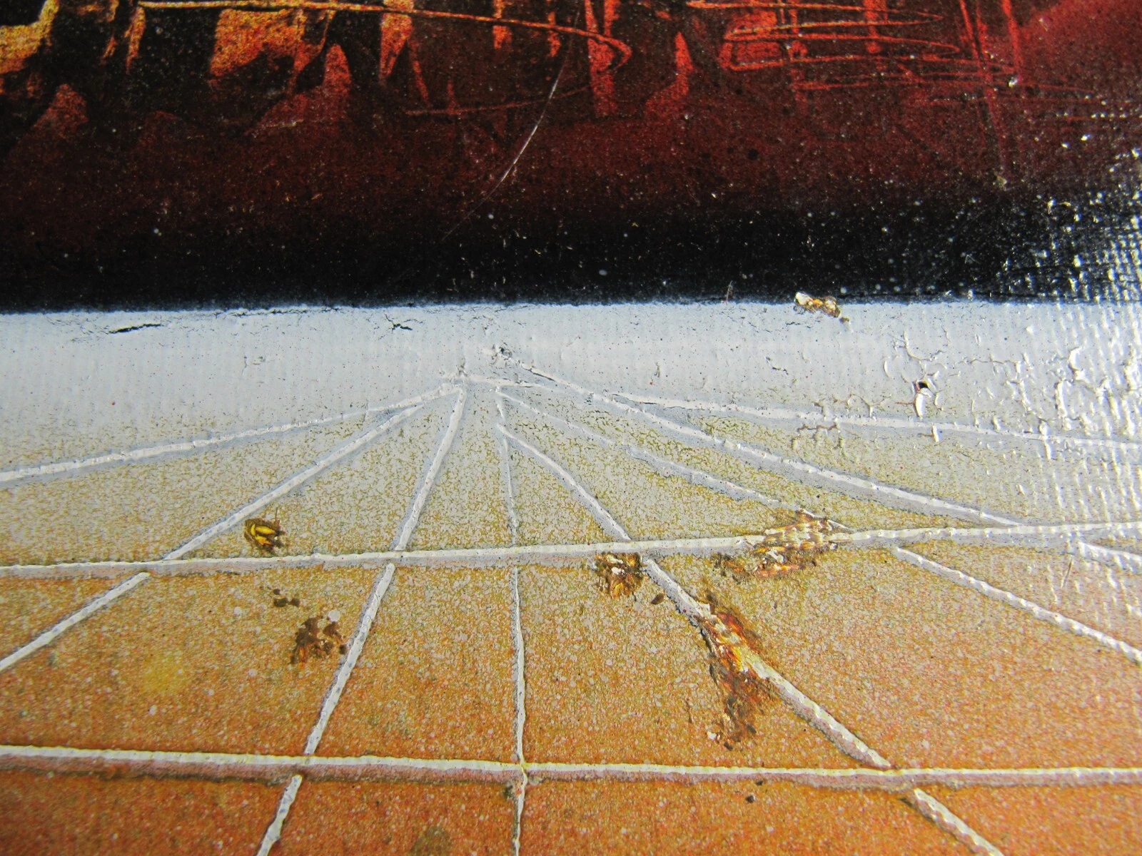 Picture 8 of 8