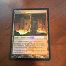 Wizards Blood Crypt Rare Land Return to Ravnica Foil Mountain Swamp MTG