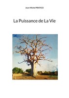 Jean-Michel Pratico | La Puissance De La Vie | Taschenbuch | FranzöSisch (2024)