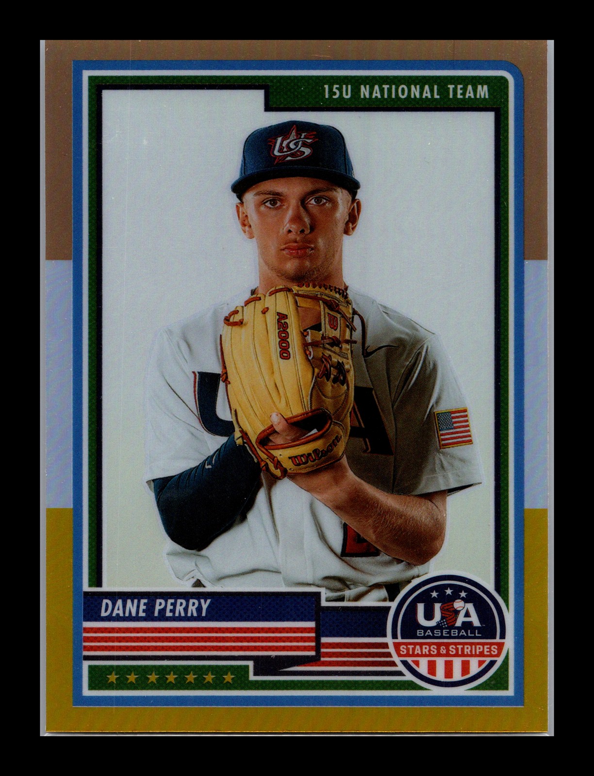 Dane Perry #37 Panini 2023 Panini Stars & Stripes USA Baseball Stripes