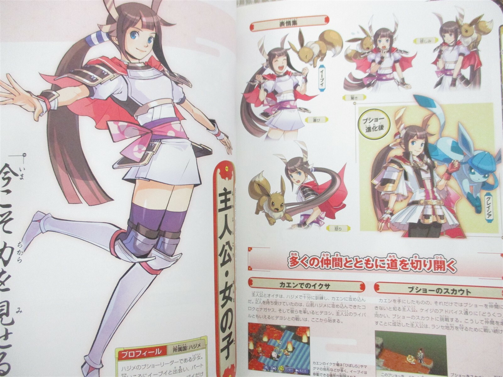 Pokemon Plus Nobunaga No Yabo Visual Settei Guide Ds Book 12 Ko Ebay