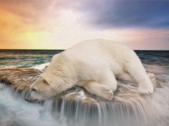 Sad Polar Bear Bored Waterfall Sunset Jigsaw Puzzle 285 Pieces 16.5X12  Piece