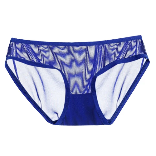 4 Pack Lot Sexy Women Low Waist Sheer Panties Underwear Mesh Cute Seamless Brief - Bild 15 von 22