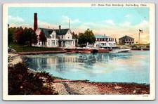 Put-In-Bay OH~State Fish Hatchery~Smokestack~USA Flag~Reflection~1920s Postcard