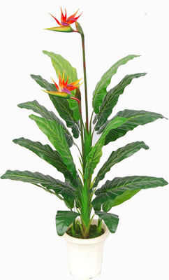 Stunning 5' Paradise Bird Flower Plant - Real Touch, UV Protected, Indoor/Outdoo