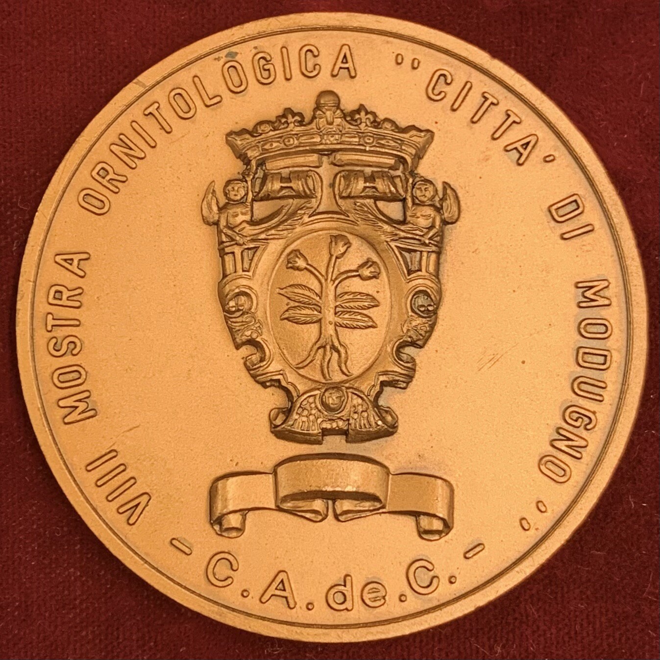 Foto 1 di 3
