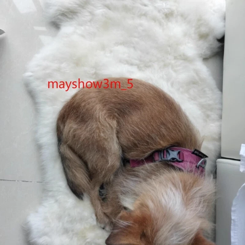 Natural Sheepskin QUAD Carpet Ivory Sheep Bedside Real Fur Throw Area Rur Soft - Image 2 of 4